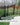 Black Residential Drexel Aluminum Walkway Gate From ShopFencing.com